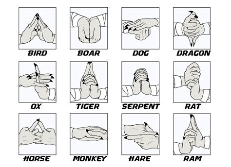 Rinjis Hand Signs — Weasyl