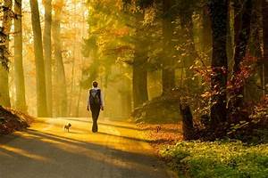 Walking, In, Nature, Changes, Your, Brain, And, Improves, Mental