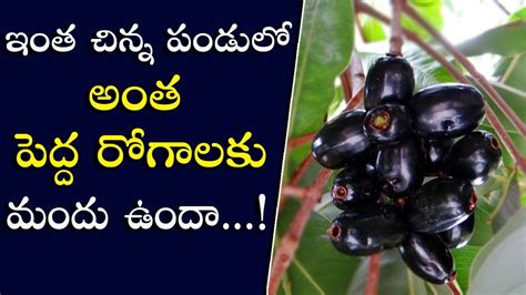 These sweet, succulent bramble group bush berries blackberries nutrition facts. ఔషదాల గని అల్లనేరేడు | Blackberry fruit benefits | PSLV TV ...