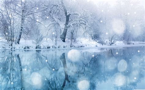 Snow Fall Wallpapers Wallpaper Cave