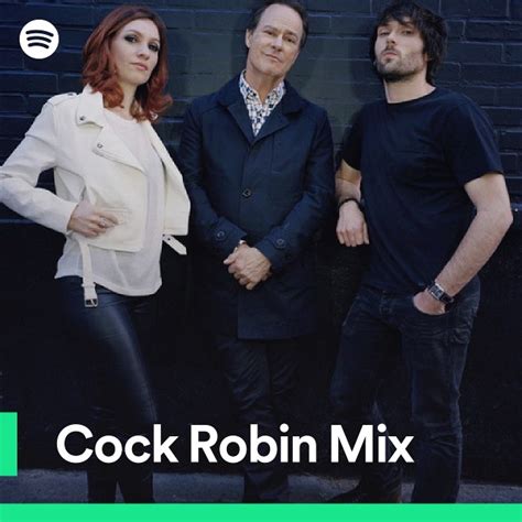 Cock Robin Mix Spotify Playlist