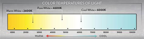 What Is The Difference Between The Types Of White Led Lights