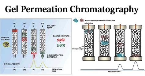 Gel Permeation Chromatography Definition Principle Parts Steps Uses