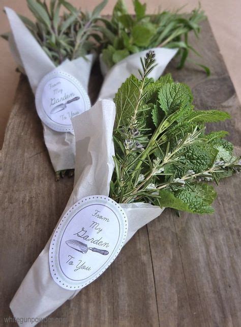 7 Herb Packaging Ideas Packaging Herbs Fresh Herbs
