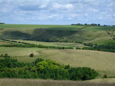 Salisbury Plain Wiltshire England Uk