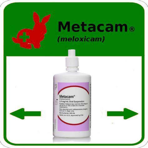 Definitely do not give your cat vaseline for hairballs or anything else. Meloxicam For Cats Side Effects - Food Ideas