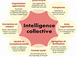 L'intelligence collective en image - Diana Rondeau - Infographie