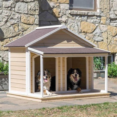 10 Stunning Indoor Dog House Design Ideas Live Enhanced
