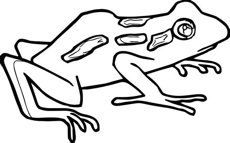 Cute Baby Frog Coloring Pages Coloring Pages