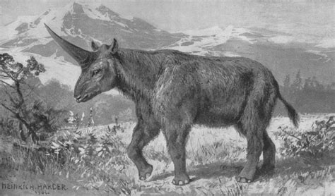 Siberian Unicorns Lived Alongside Humans And They Were So Much Cooler