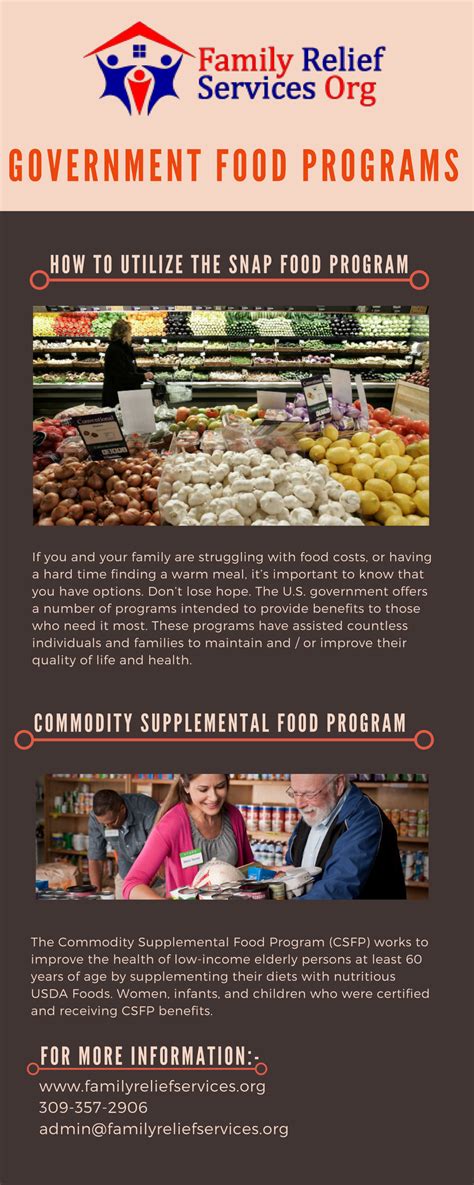 Government Food Programs Supplemental Nutrition Assistance Programs Food Assistance