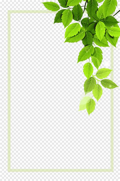 Green Leaves Green Plant Borders Border Angle Png Pngegg