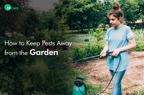 10 Best Ways To Keep Pests Away From Plants Hicare