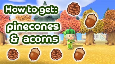 Acnh How To Find Pinecones And Acorns Autumn Animals Animal
