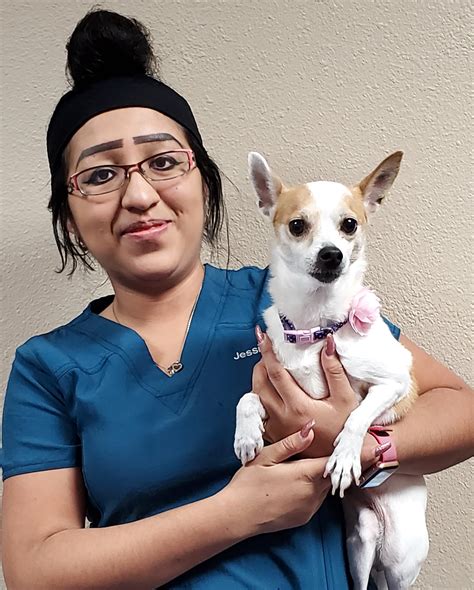 We are committed to helping clients. Higley Road Pet Clinic, Our Staff