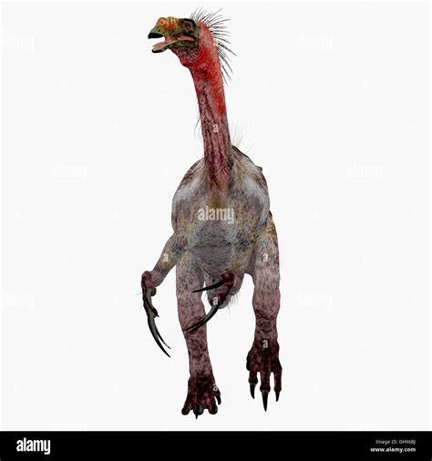 Therizinosaurus High Resolution Stock Photography And Images Alamy