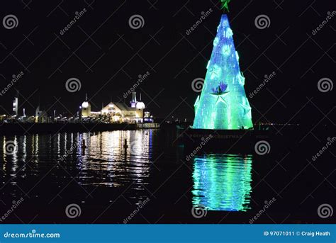 Geelong Christmas Tree Reflecting Brightly Editorial Photo Image Of