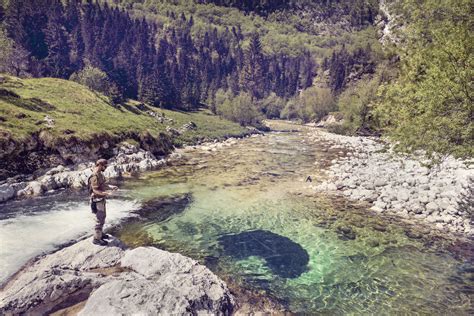 Slovenia Man Fly Fishing In Soca River Stock Photo