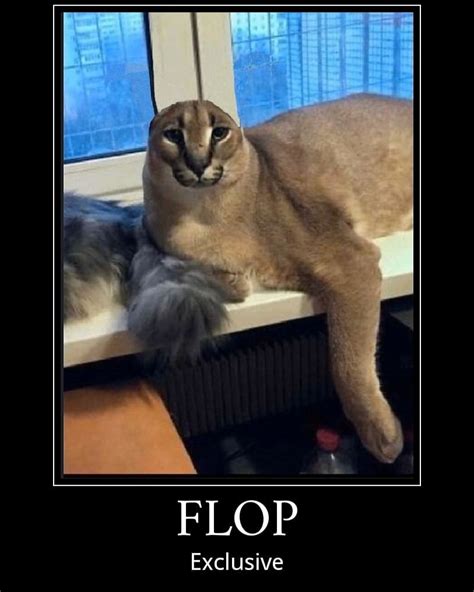 Flop Exclusive Big Floppa Know Your Meme