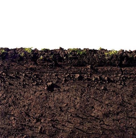 Soil Png Image With Transparent Background Free Png Images