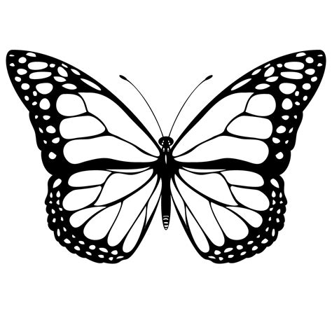 Butterfly Drawing Outline Clipart Best