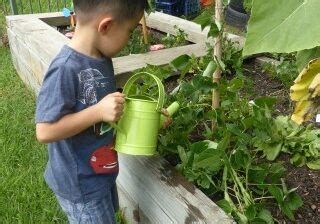 Garden resources for parents and teachers. Outdoor Learning Environment - Nought To Five Early ...