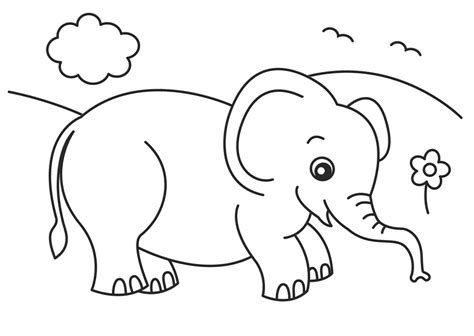 Elephant Coloring Pages Pdf