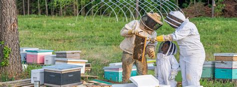 Bee Ginners Beekeeping Rutgers Njaes Office Of Continuing Professional Education
