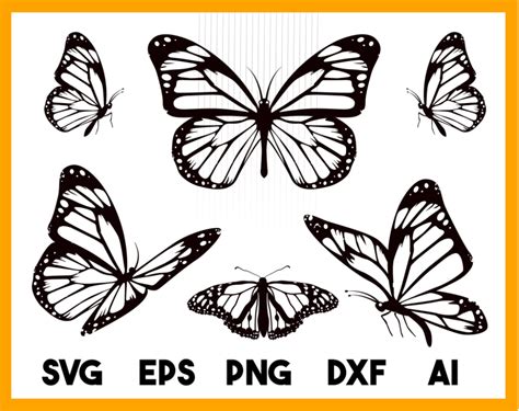 Monarch Butterfly SVG , DXF , PNG,cut files,butterfly silhouette