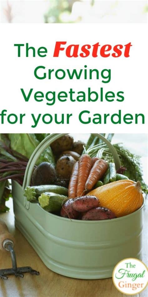 Use our collection of helpful articles to help you get started with every kind of vegetable gardening. The Fastest Growing Vegetables for your Garden