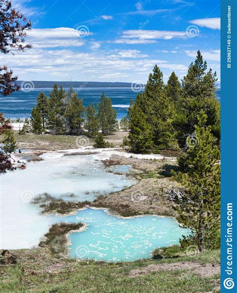 West Thumb Geyser Basin In Yellowstone National Park Stock Image