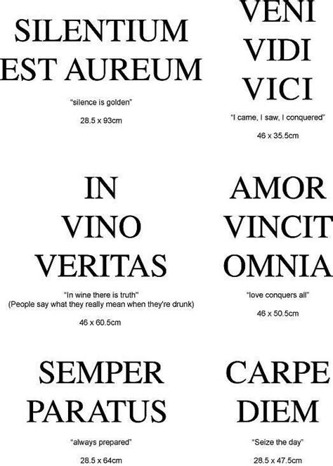 Esse quam videri or videri. Pin by Moira Cutler on Tattoo | Latin quotes, Latin ...