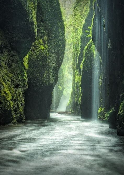 Rainforest Canyon Oregon Vacation Destinations Dream Vacations