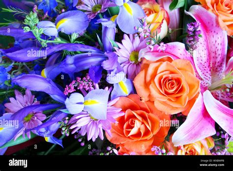 Bouquet Of Beautiful Vibrant Flowers Stock Photo Alamy