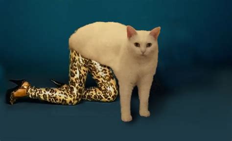 Hilarious Photoshopped Pictures Of Two Legged Cat