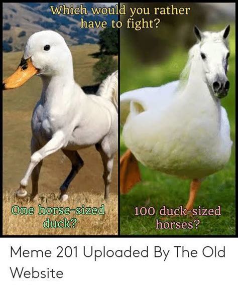 Would You Rather Fight 1 Horse Sized Duck Or 100 Duck Sized Horses