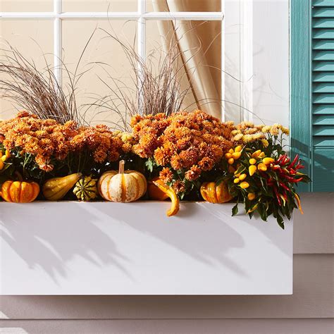 A Window Sill Filled With Pumpkins And Gourds