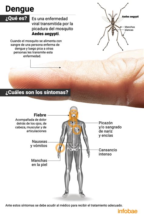 Al Menos 32 Muertes Por Dengue En Argentina La Cifra Es Récord Y Los