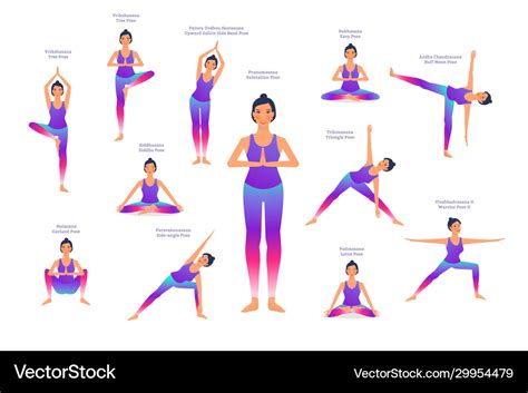 Set Woman In Different Yoga Poses Names Of Vector Image