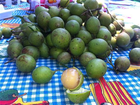 Mamones A Tropical Fruit From El Salvador El Salvador Food Salvador