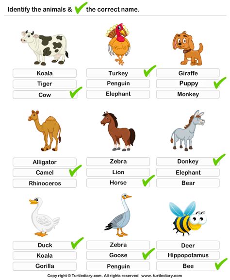Identify The Farm Animals Animal Activities For Kids