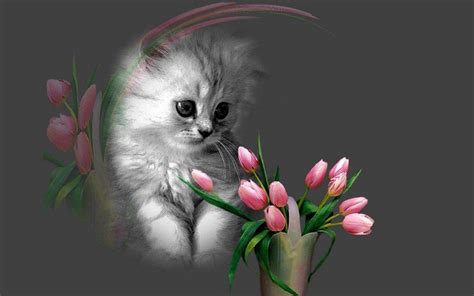 Details Of Cats And Flowers Wallpapers Wallpaper Cave