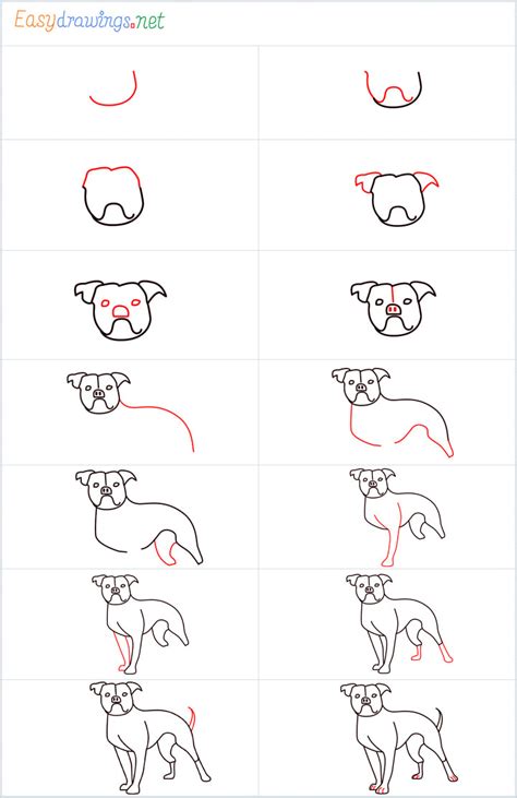 How To Draw A Bulldog Step By Step