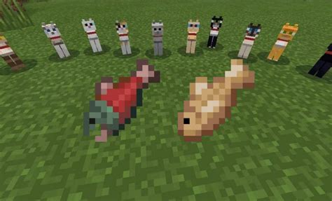 What Do Cats Eat In Minecraft 119 Update