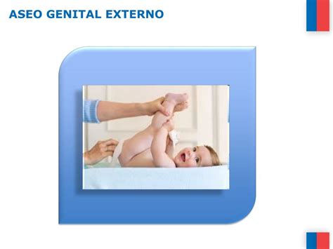 Fundamentos De Enfermeria Aseo De Genitales Externos My XXX Hot Girl