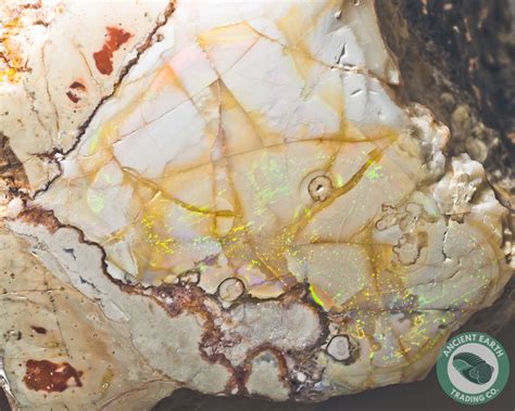 Xl 519 In Opal Thunderegg Nodule Idaho Opal Minerals