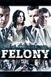 Felony (2014) - Posters — The Movie Database (TMDB)