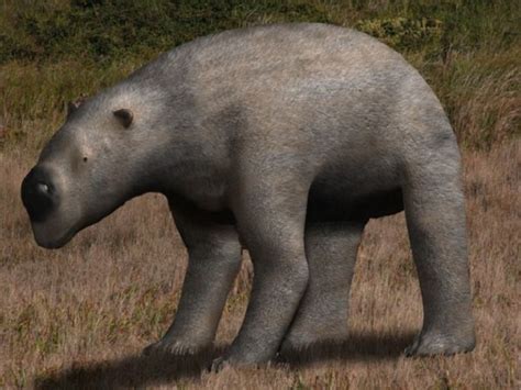 10 Terrifyingly Huge Extinct Versions Of Adorable Animals Listverse