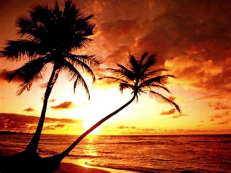 Paradise Sunset Wallpapers Top Free Paradise Sunset Backgrounds