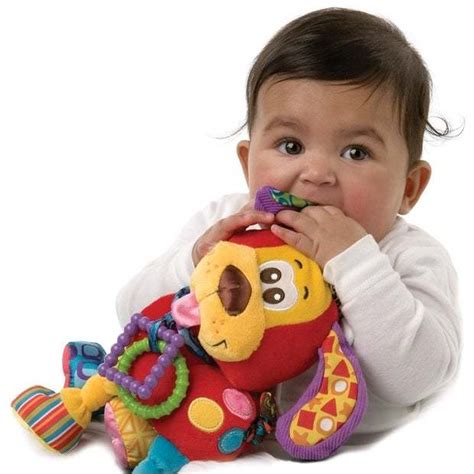 Buy Playgro Activity Friend Pooky Puppy At Mighty Ape Nz